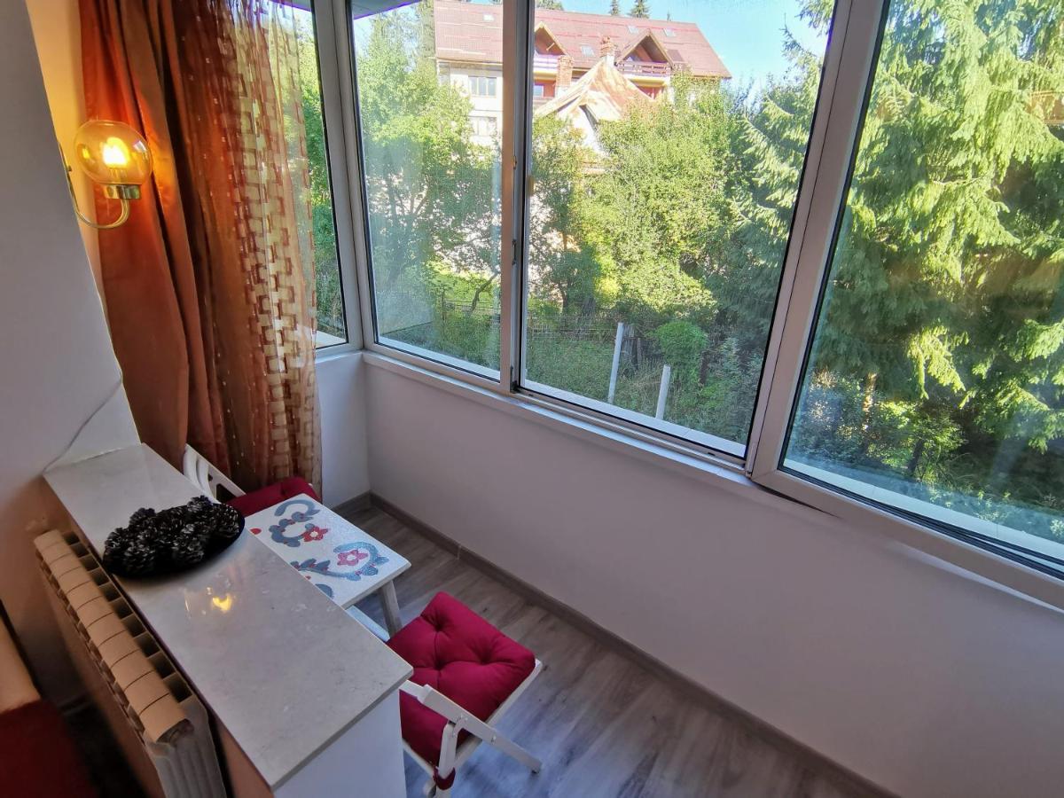 Cosy 2 Rooms Apartment With A View Near The Forest Predeal Exterior foto